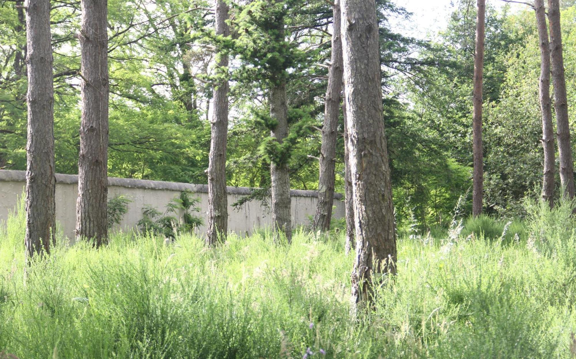 Le Refuge De Chambord Villa Thoury Luaran gambar